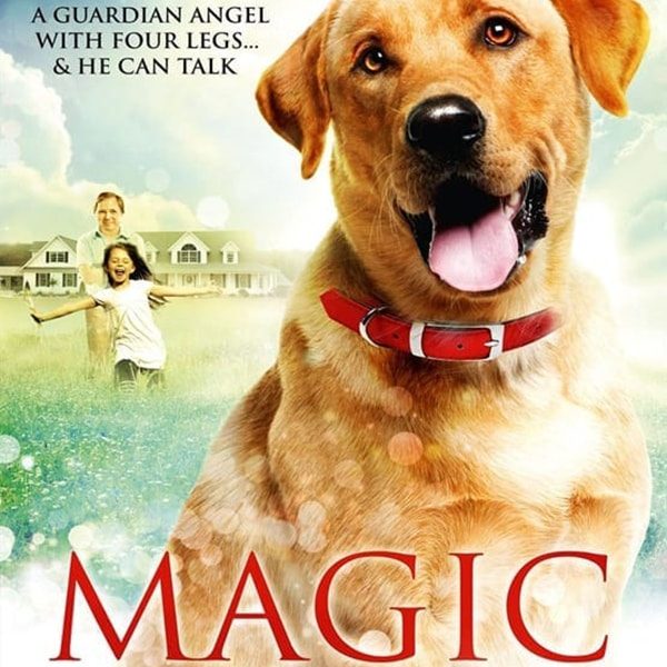 magic-dog