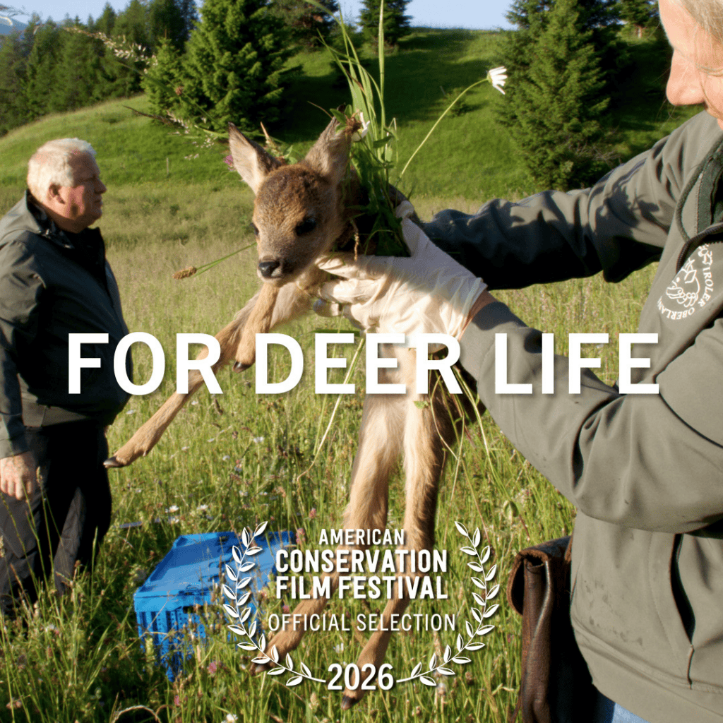 For Deer Life by composer Patrick Kendell Smith was recorded at FAME'S.