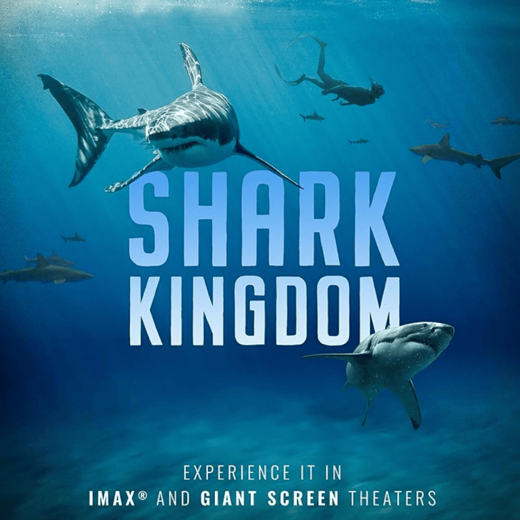 Shark Kingdom was composed by Caitlin Yeo at FAME'S.